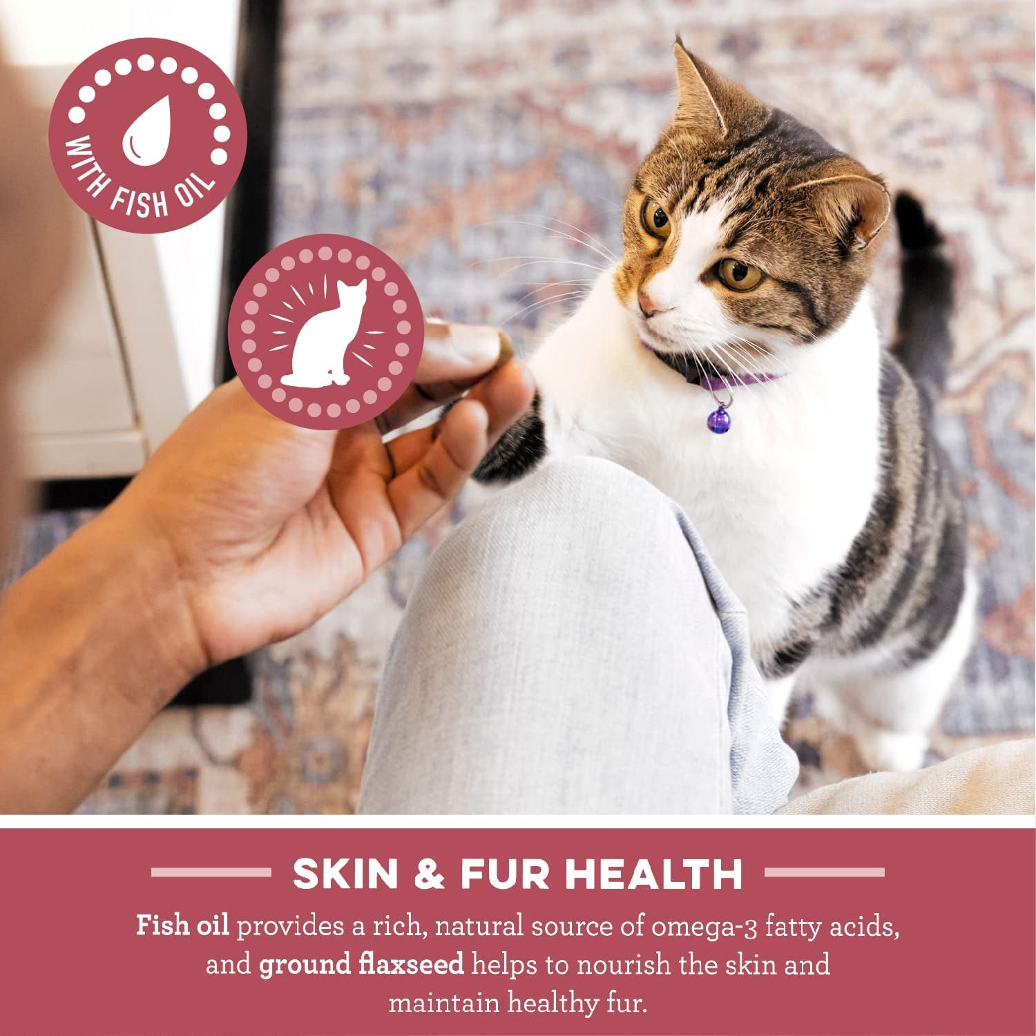 Feline SMARTBITES Healthy Skin and Fur, Chicken and Salmon Flavors, All Bag Sizes