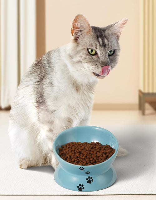 Load image into Gallery viewer, Elevated Cat Food Bowl, Ceramic Raised Cat Bowl, Tilt Angle Protect Cat&#39;S Spine, anti Vomiting Cat Dish, Backflow Prevention, Lake Blue
