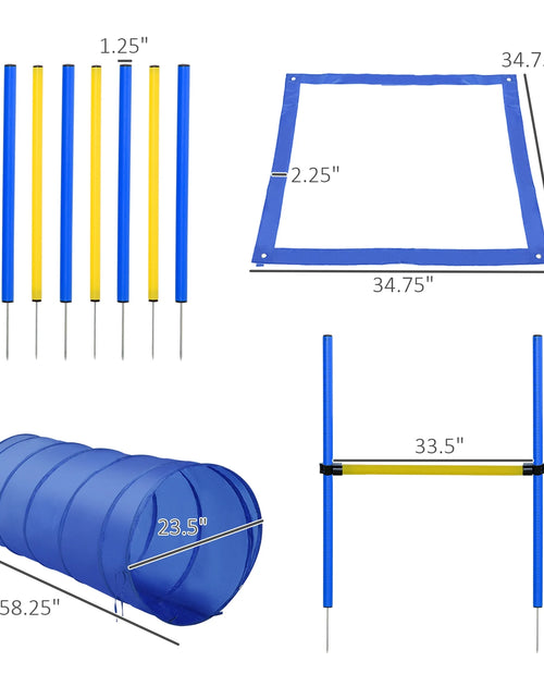 Load image into Gallery viewer, 4PC Obstacle Dog Agility Training Course Kit Backyard Competitive Equipment- Blue/Yellow
