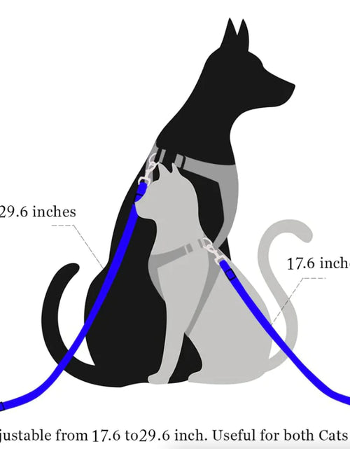 Load image into Gallery viewer, 2 Pack Cat DOG PET Safety Seatbelt Car Vehicle Seat Belt Adjustable Harness Lead
