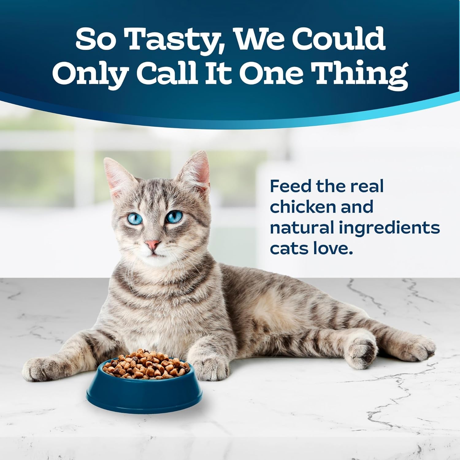 Indoor Health Natural Adult Dry Cat Food