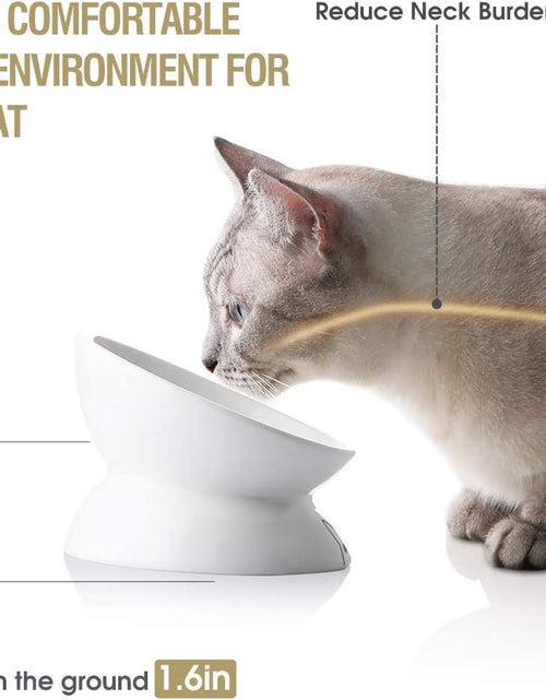 Load image into Gallery viewer, Raised Cat Bowl for Dry Wet Cat Food, Ceramic Elevated Pet Bowl Cat Dish, Protect Cat&#39;S Spine, Stress Free, Slanted Design for Cat Easy Eating, Dishwasher Safe
