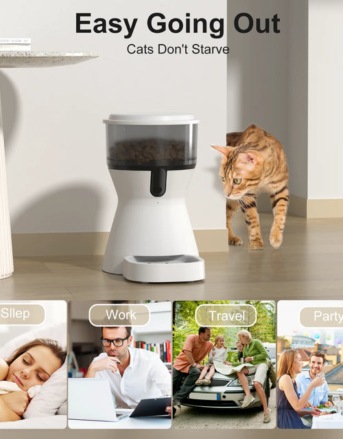 Load image into Gallery viewer, Automatic Cat Feeders Wifi, Timed Dog Feeder with 10S Dining Voice Record, 4L Cat/Dog Food Dispenser
