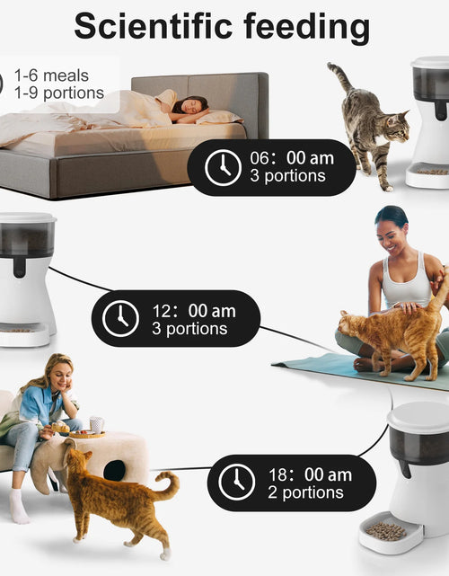 Load image into Gallery viewer, Automatic Cat Feeders Wifi, Timed Dog Feeder with 10S Dining Voice Record, 4L Cat/Dog Food Dispenser
